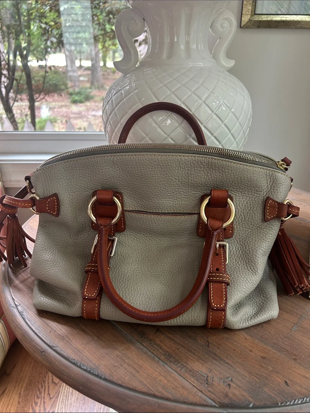 Dooney & Bourke Sage Pebble Leather Satchel with Brown Trim